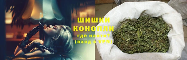 МДПВ Вяземский