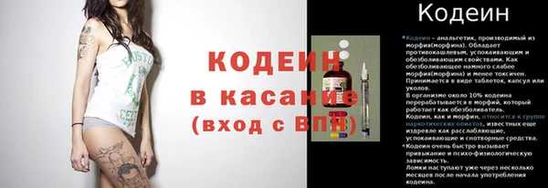 МДПВ Вяземский