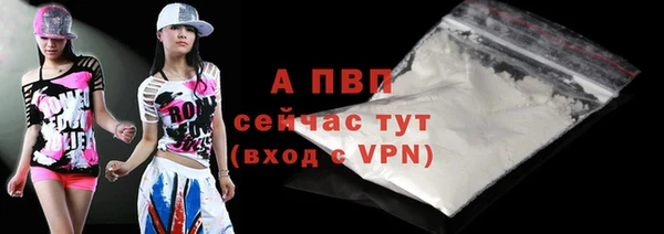 МДПВ Вяземский