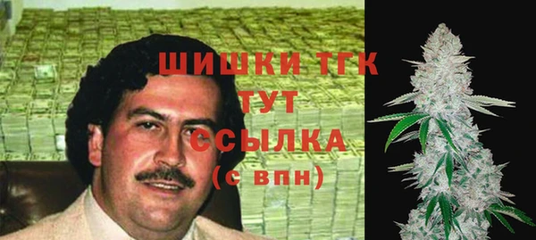 МДПВ Вяземский