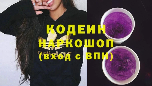 МДПВ Вяземский