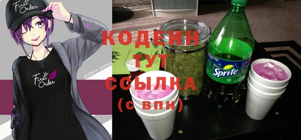 МДПВ Вяземский